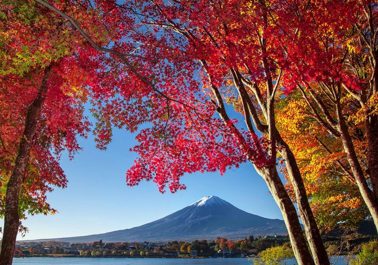 후지카와구치코 富士山金魚 Fujisan Kingyo 빌라 외부 사진